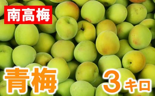 出所：ふるさとチョイス　ひらそ農園の青梅 3kg 梅 南高梅