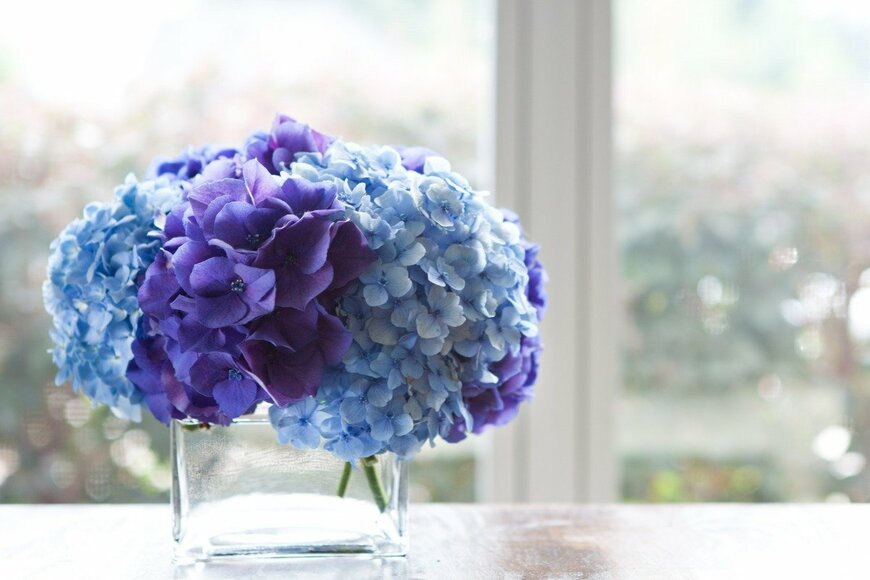 wherelifeishidden/istockphoto.com