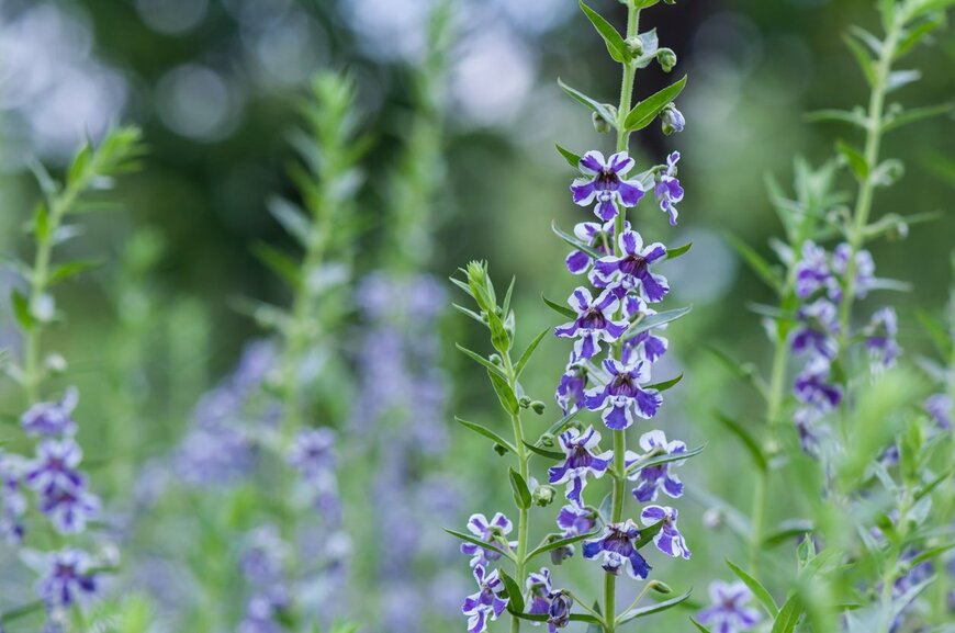 89studio/istockphoto.com