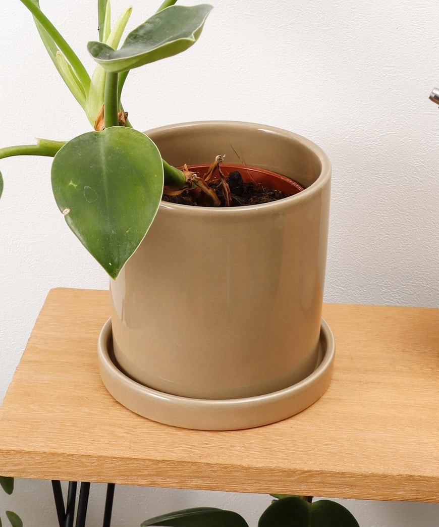 出所：パルグループ公式ファッション通販サイト