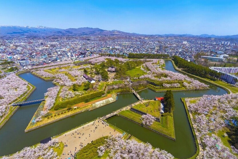 Shawn.ccf/shutterstock.com