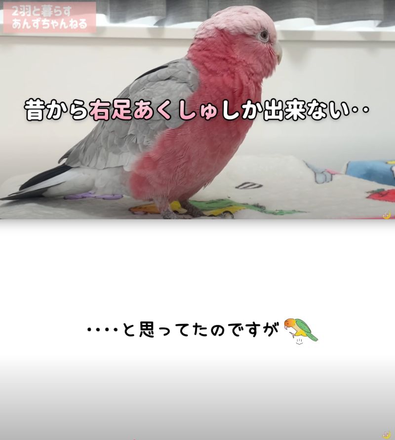 出所：@anz_omomiri