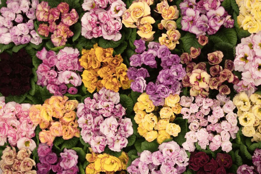 y-studio/istockphoto.com