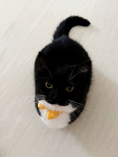 出所：@unicouniuni3