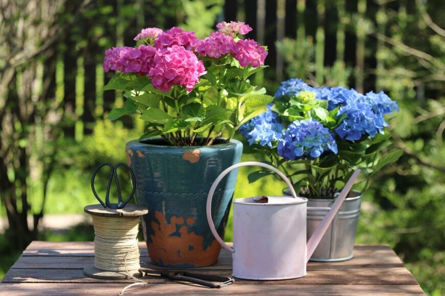 Galina Grebenyuk/shutterstock.com