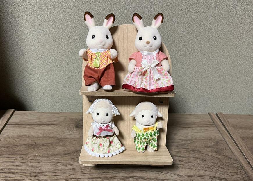 筆者撮影（セリア、ディスプレイスタンド アーチ型）