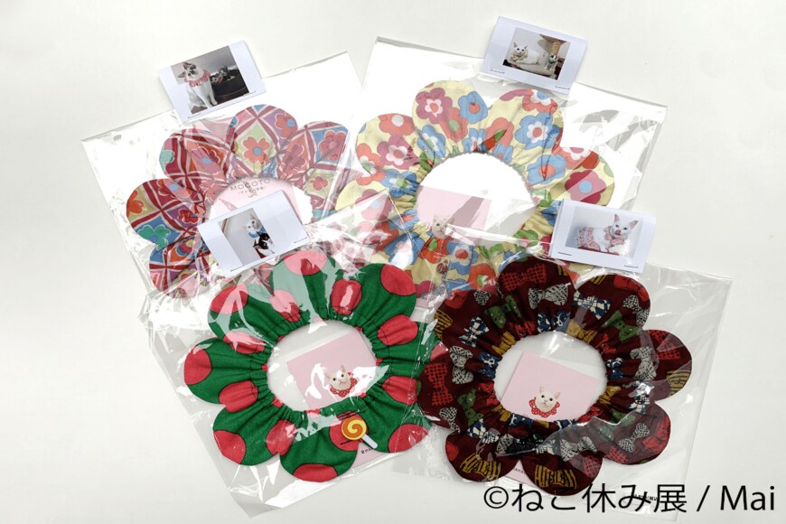 画像出所：（C）ねこ休み展 / Mai