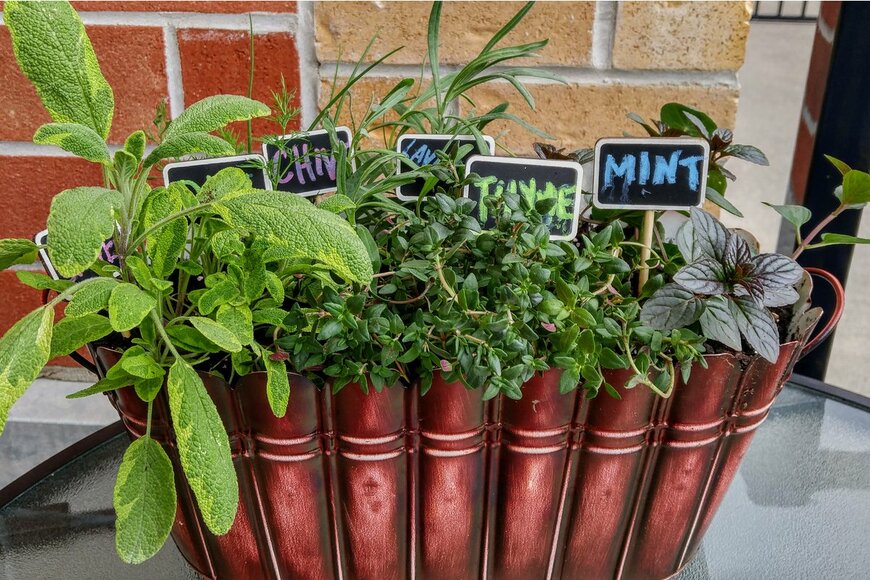 【家庭菜園】おしゃれで便利「ハーブの寄せ植え」基本の作り方と上手に育てるコツ