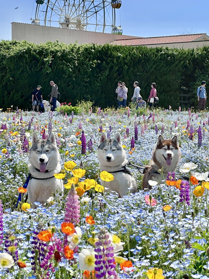 撮影成功！全員カメラ目線の写真