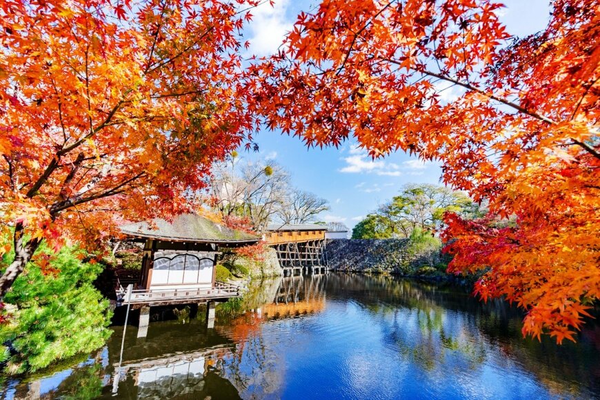 紅葉渓庭園の紅葉