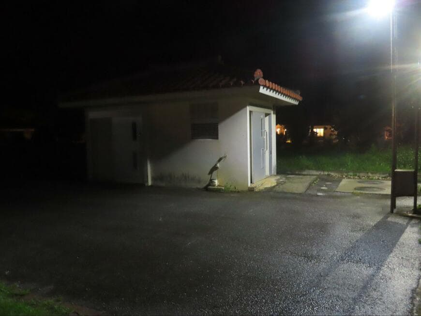 投稿の画像