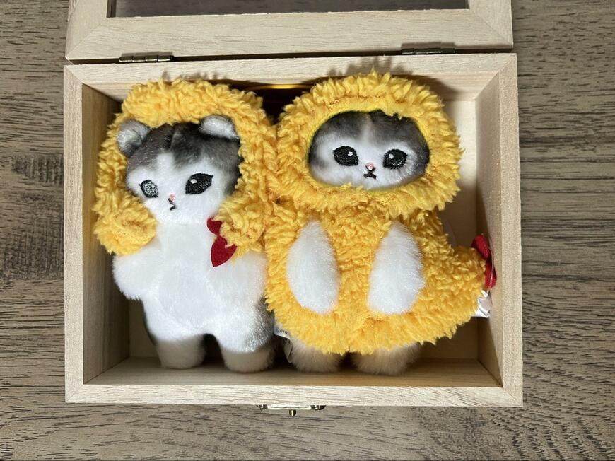 ダイソー、ウッドボックス(クリア蓋付、ロック付)画像