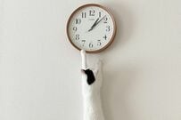 時計に手を伸ばす「0歳の子猫」　4年後「同じ場所」で撮影した成長姿にホッコリ