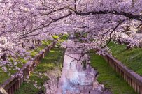 【年金一覧表】60歳代・70歳代・80歳代・90歳以上の「厚生年金・国民年金」の平均受給額を一覧でチェック