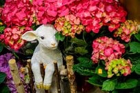 【大学初年度147万円超】教育資金一括贈与の非課税制度「いくらまで非課税？」