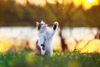 意外に多い「貯蓄ゼロ円」世帯の割合。今年からはじめるお金を貯める方法は？