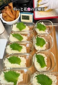 ハンバーグに春巻き、ウインナーまで！豪華すぎる〈キャベツハンバーグ弁当〉が美味しそう