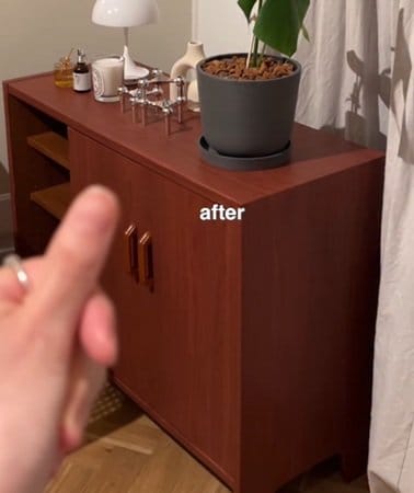 投稿の画像