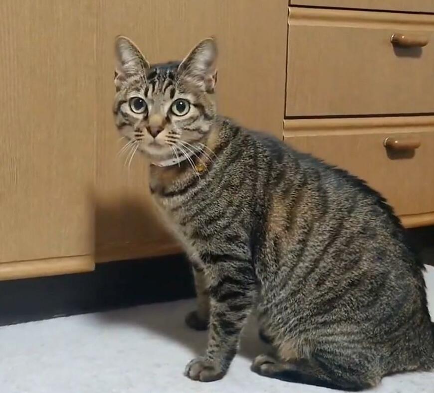 出所：@Mh0MLiErcV8E97C