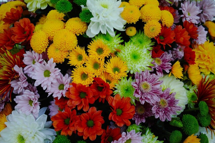 barmalini/istockphoto.com