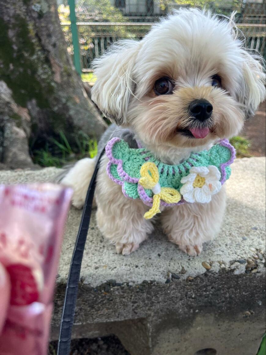 出所：@potage_0924