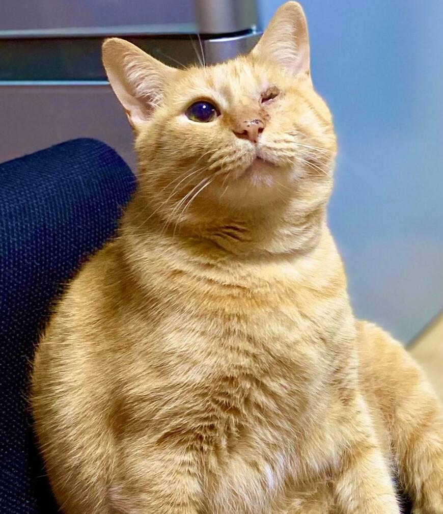 出所：@luna7taka9