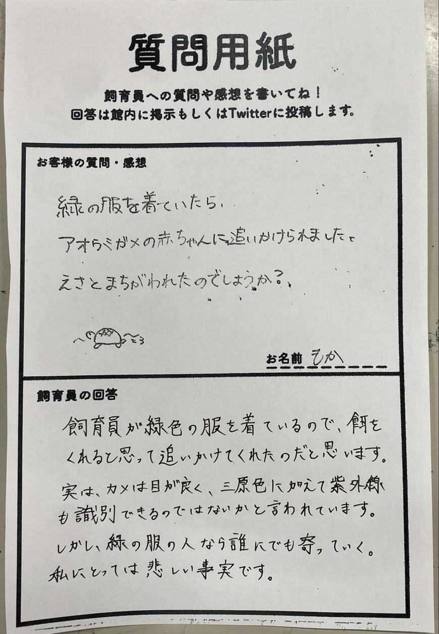 出所：@umigame_kouen