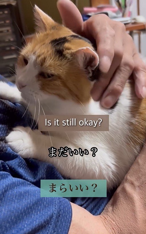 出所：@mike_noritama