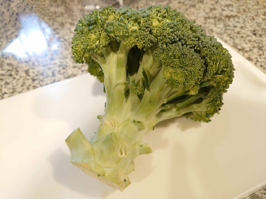 ブロッコリー