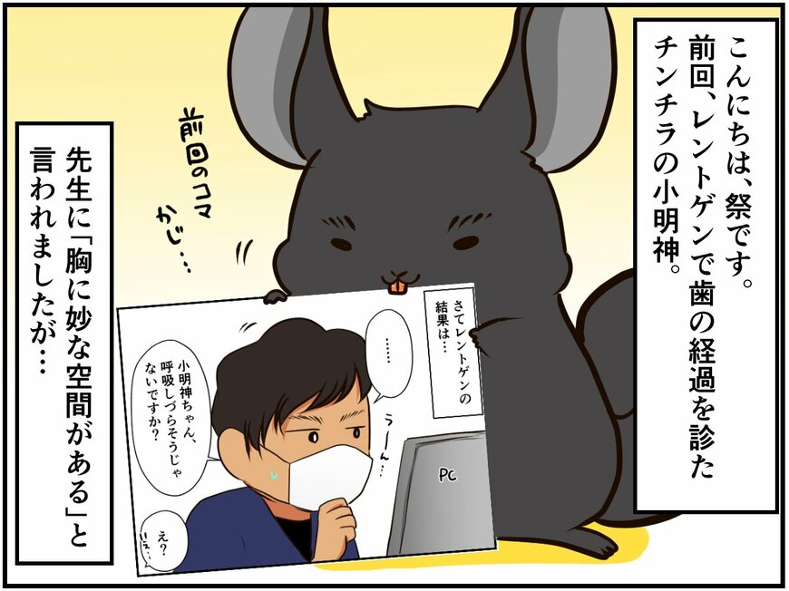 「心臓までわずか1cm」のリスクに飼い主の決断は…【チンチライフ59話】