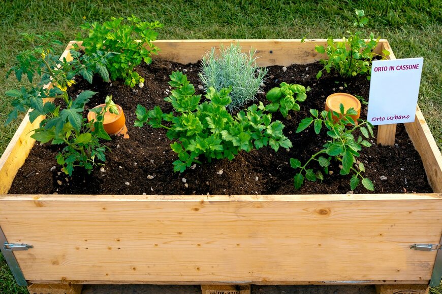 Ba_peuceta/Shutterstock.com