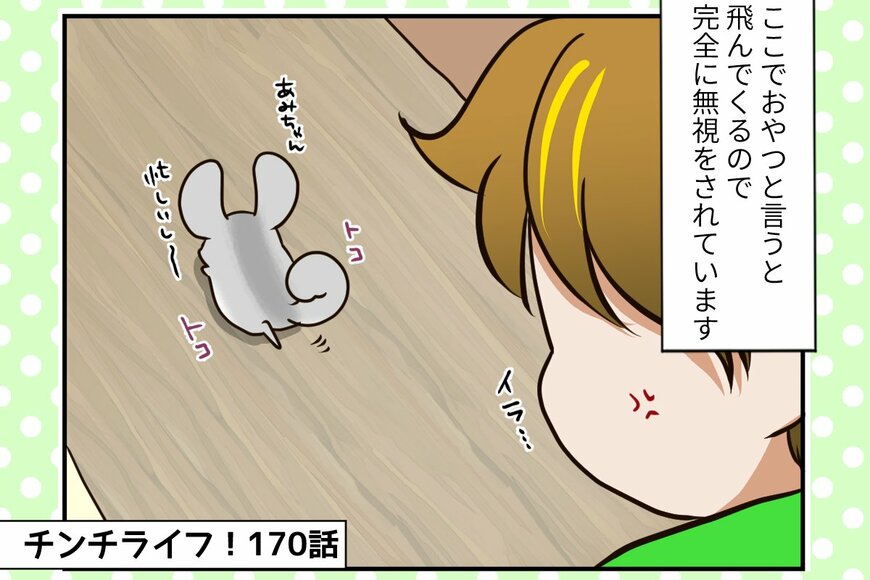 【チンチライフ第170話】あみだちゃんは一人遊びが好き？でもまだまだ子どもなワケとは