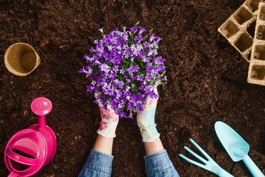 Chet_W/istockphoto.com