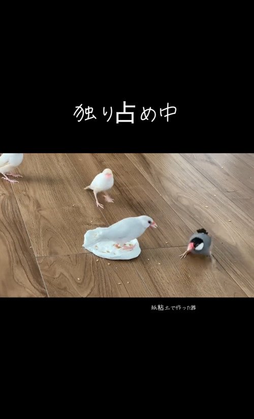 出所：@buntyo_suehiro