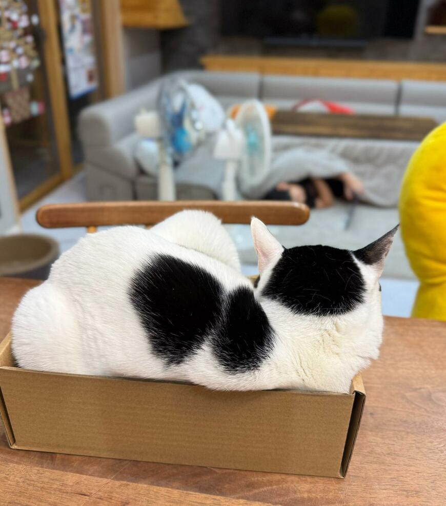 出所：@omochi_nam01