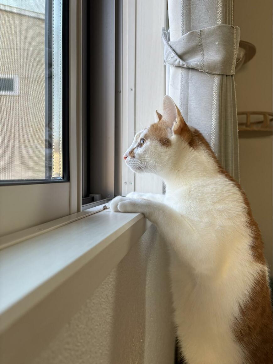 出所：@tomiyama_1012