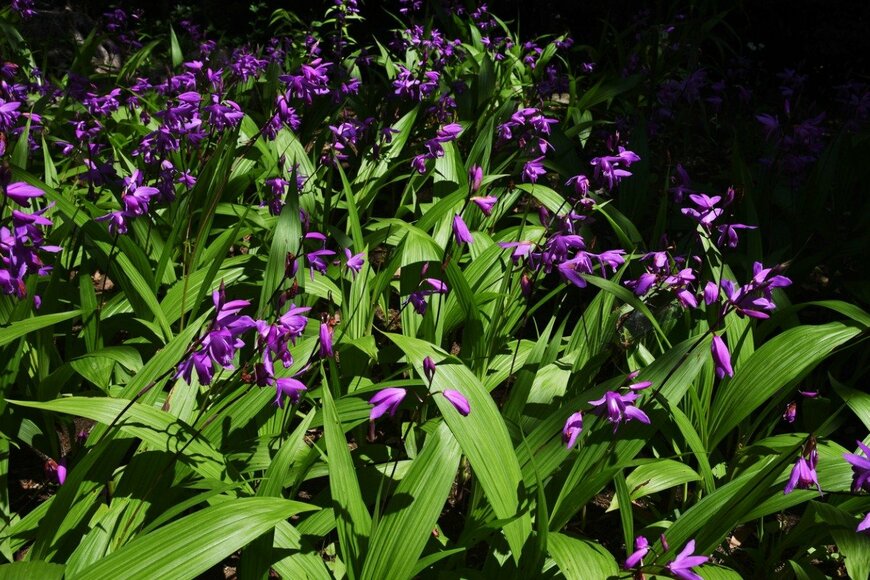 undefined undefined/istockphoto.com