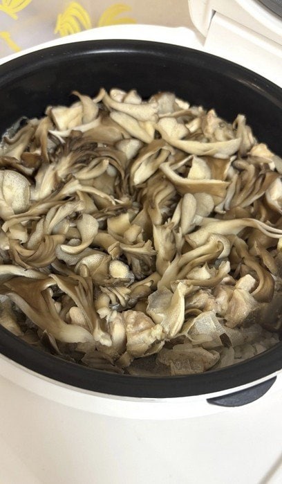 出所：藤あや子の公式ブログ 参照日：2026年1月22日