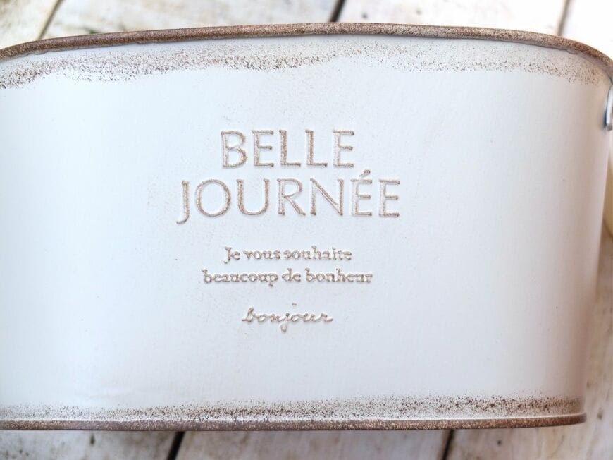 筆者撮影／ダイソー、フレンチ風アイアンポット（オーバール型、取手付）