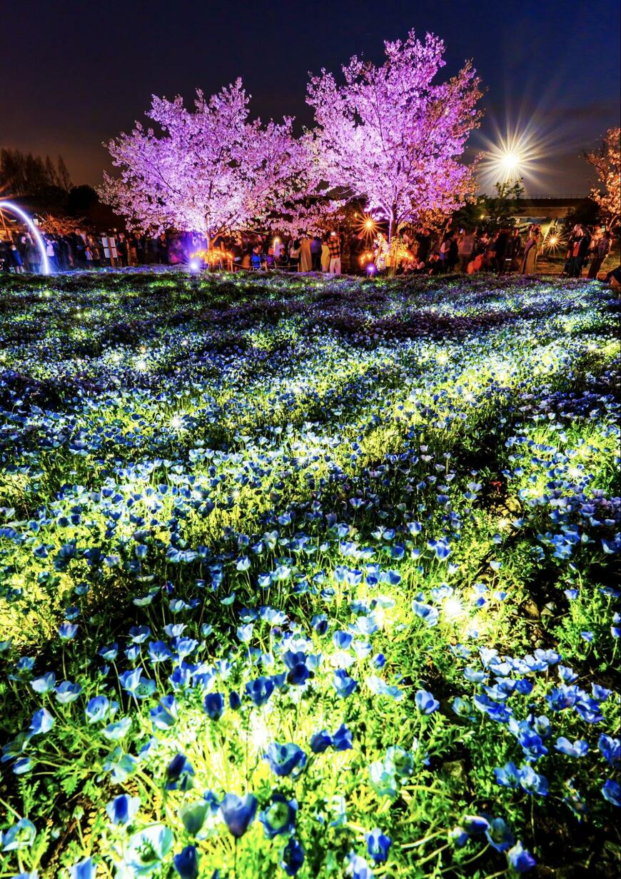 出所：@wakaru9922