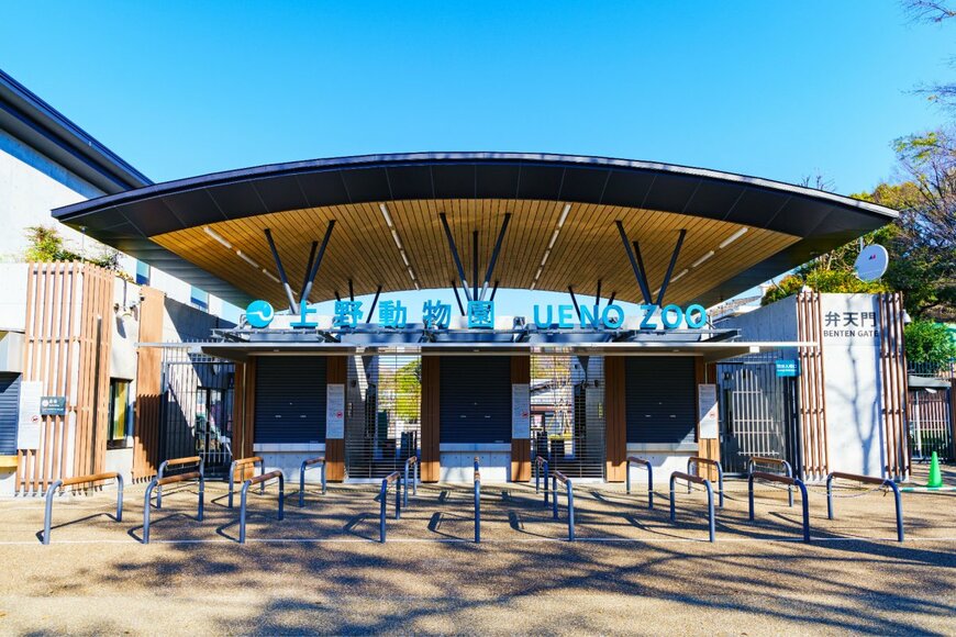 show999/shutterstock.com