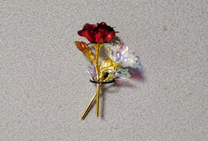 筆者撮影（セリア、壁掛け用一輪挿し 2P）