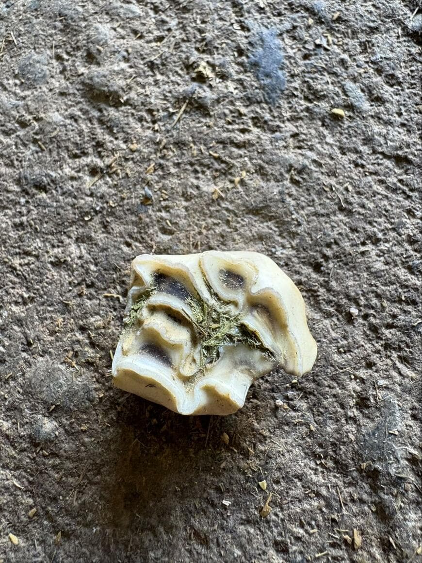 出所：@StableRyoma