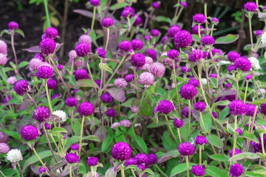 valemaxxx/shutterstock.com