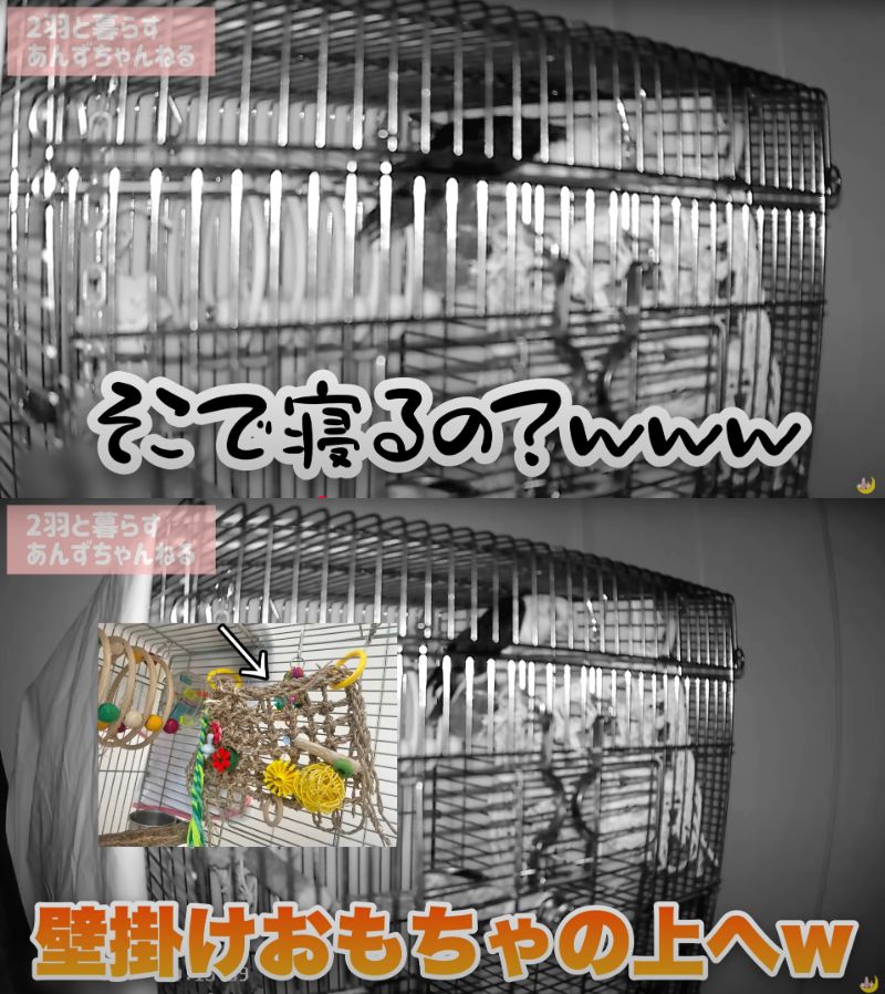 出所：@anz_omomiri