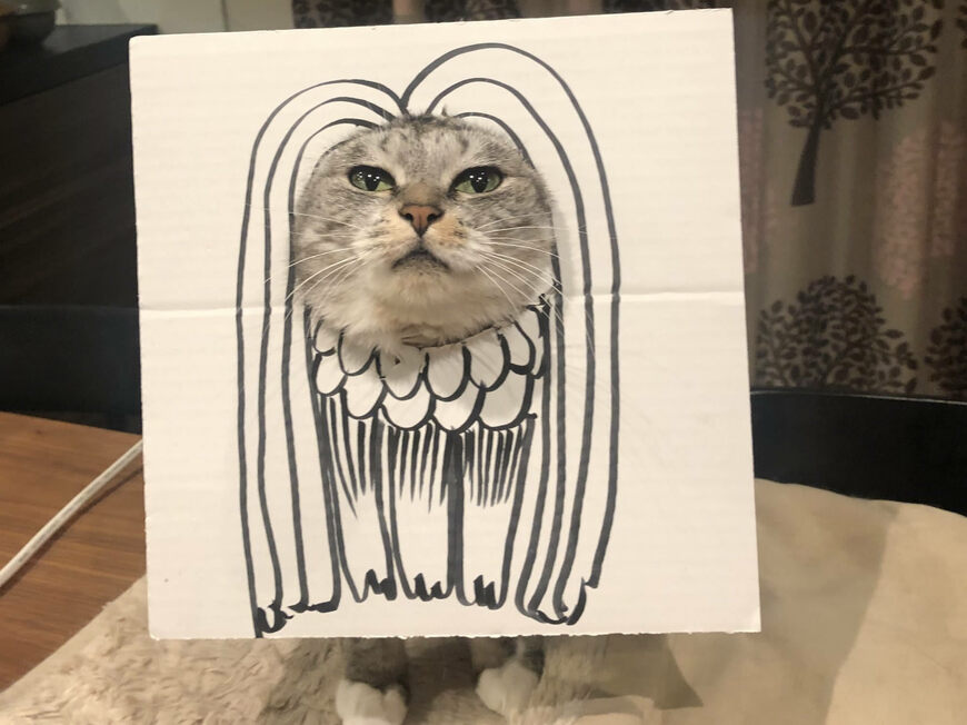 アマビエに扮する猫さんに対する同居猫のシュールな反応が笑いを誘う