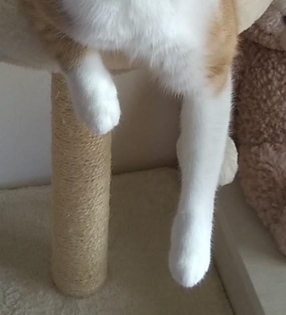 出所：@mero627puri914