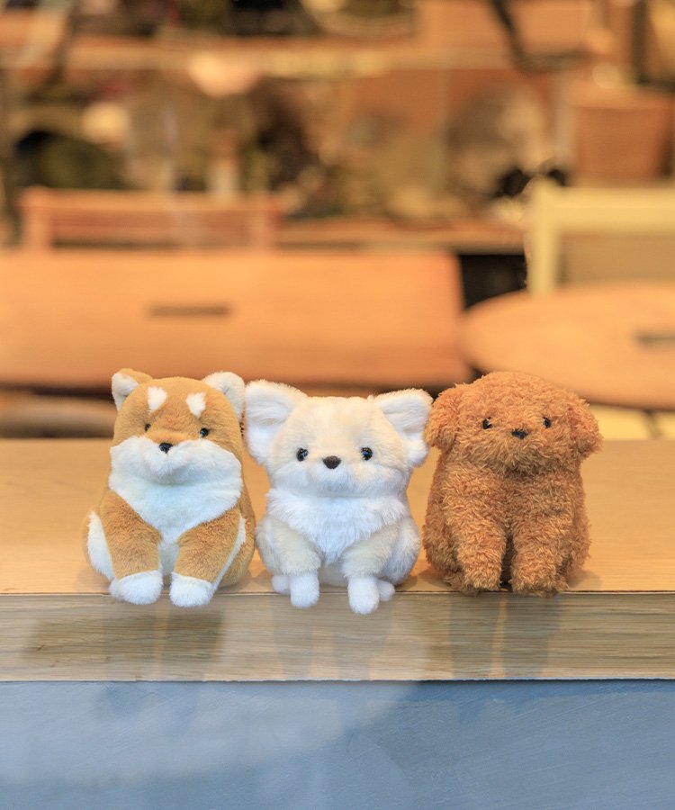 ぽちゃいぬ　ぬいぐるみ