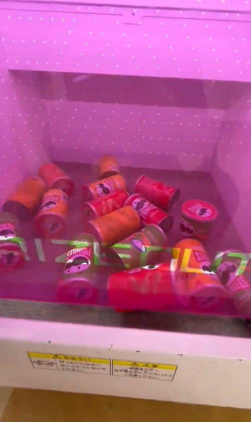 獲得したプリングルズ