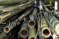 【まるで高級旅館のよう】雑木林の手入れで伐採した〈青竹〉が大変身→幻想的な雰囲気を醸し出す「竹あかり」に思わず目を疑う